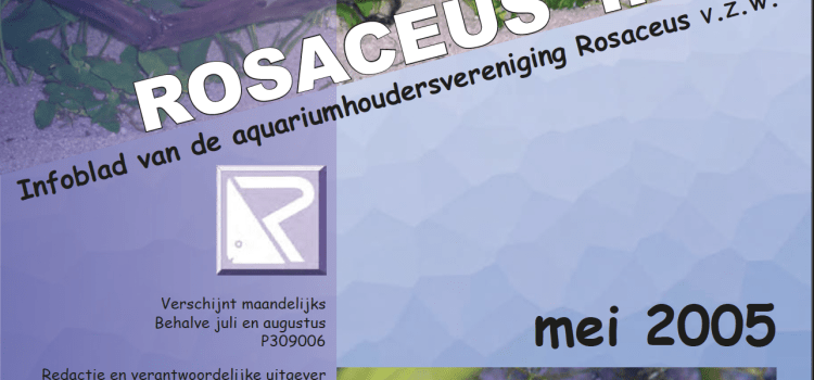 Rosaceus Info Mei 2005