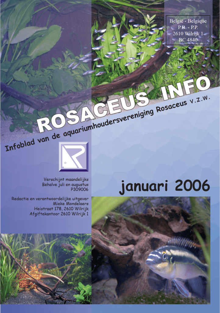 Rosaceus Info Januari 2006