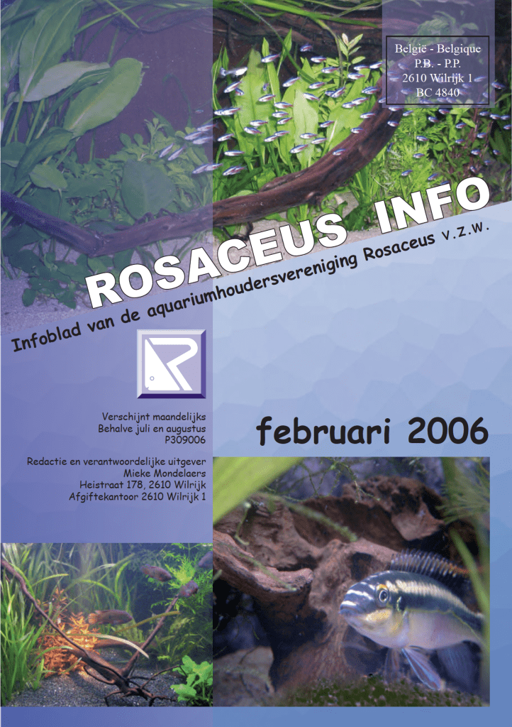 Rosaceus Info Februari 2006