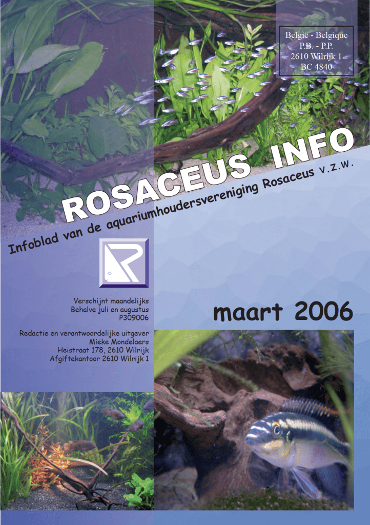 Rosaceus Info Maart 2006