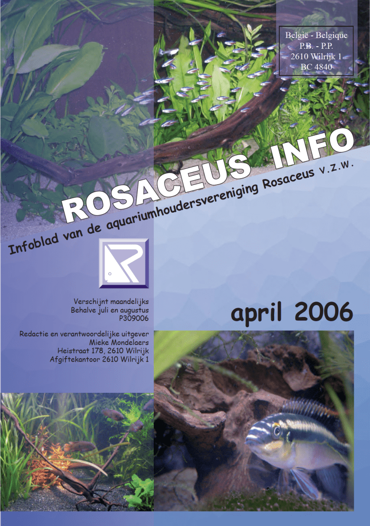 Rosaceus Info April 2006