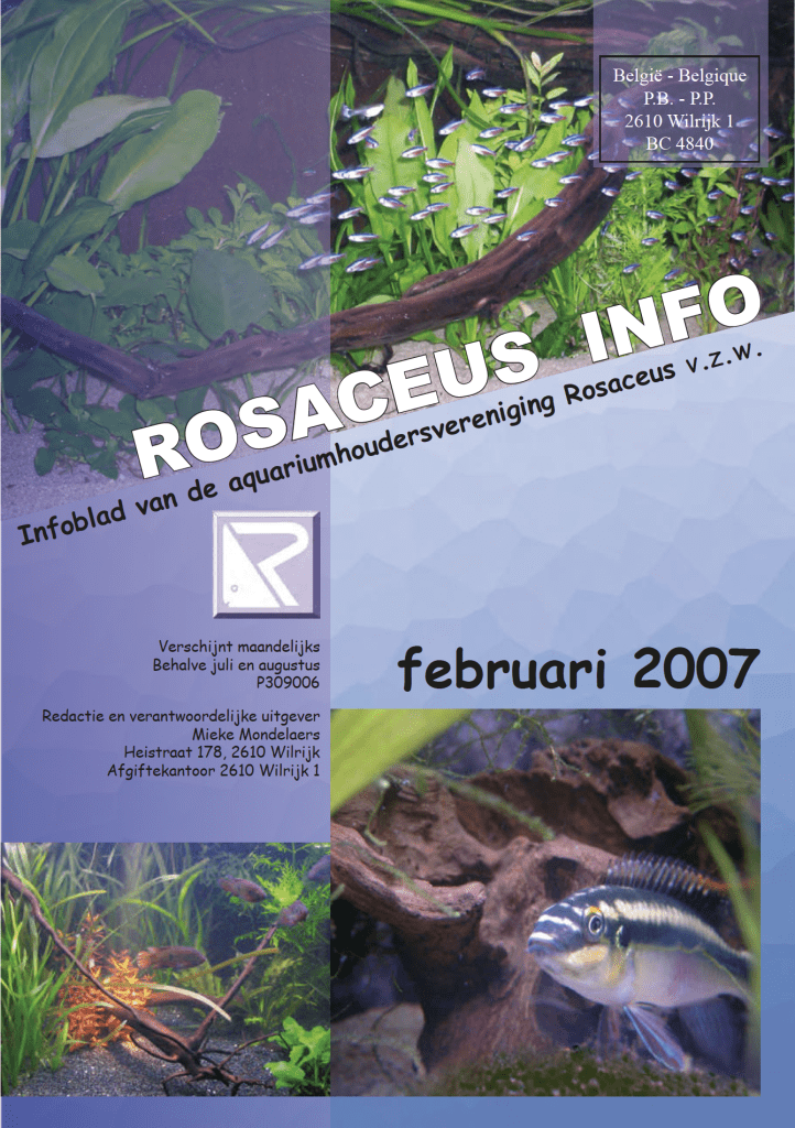 Rosaceus Info Februari 2007