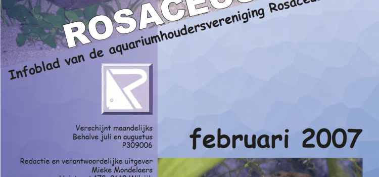 Rosaceus Info Februari 2007