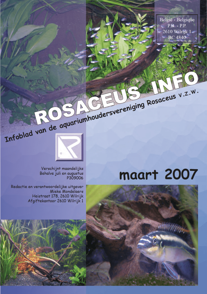 Rosaceus Info Maart 2007