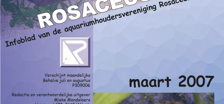 Rosaceus Info Maart 2007