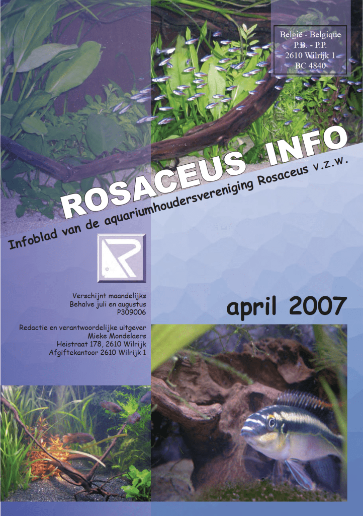 Rosaceus Info April 2007