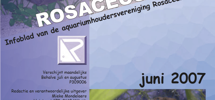 Rosaceus Info Juni 2007