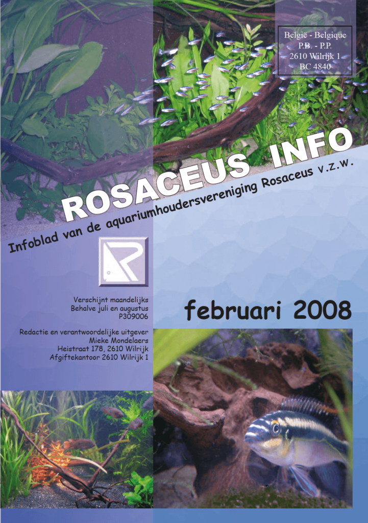 Rosaceus Info Februari 2008