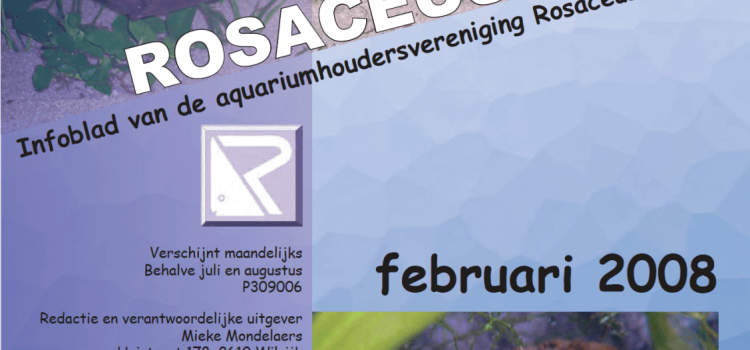 Rosaceus Info Februari 2008