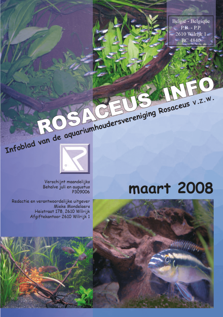 Rosaceus Info Maart 2008