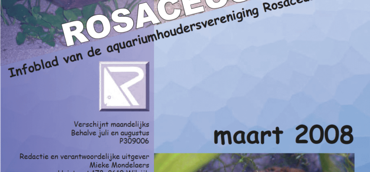 Rosaceus Info Maart 2008