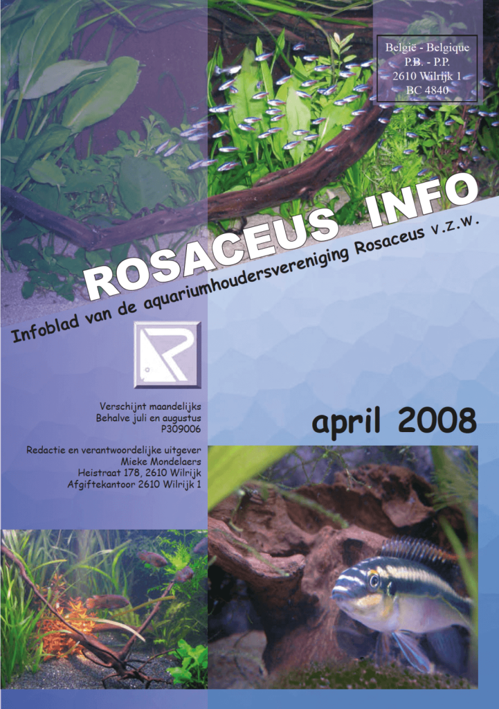 Rosaceus Info April 2008