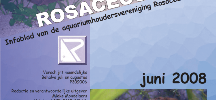 Rosaceus Info Juni 2008