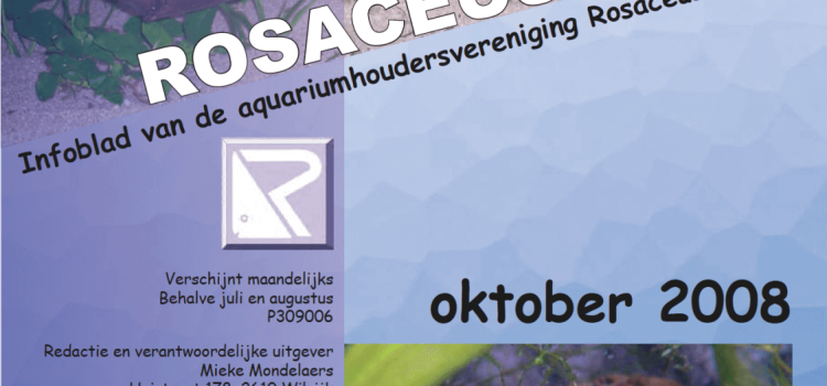 Rosaceus Info Oktober 2008