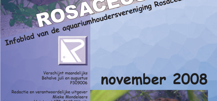 Rosaceus Info November 2008