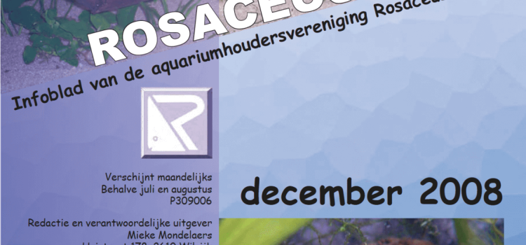 Rosaceus Info December 2008