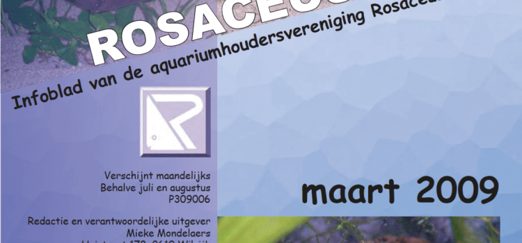 Rosaceus Info Maart 2009