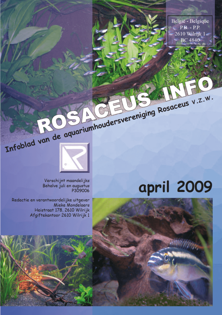 Rosaceus Info April 2009