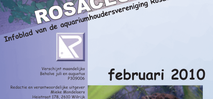 Rosaceus Info Februari 2010