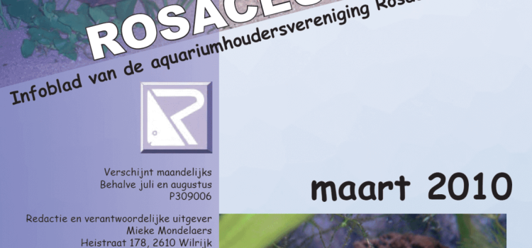 Rosaceus Info Maart 2010