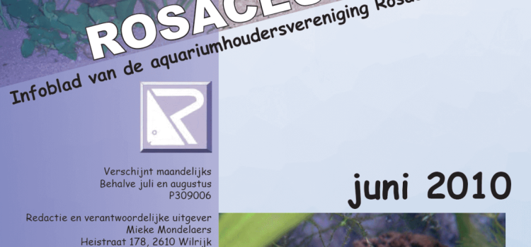 Rosaceus Info Juni 2010