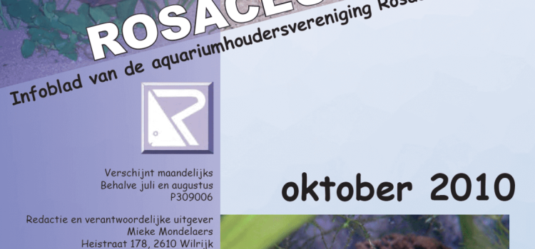 Rosaceus Info Oktober 2010