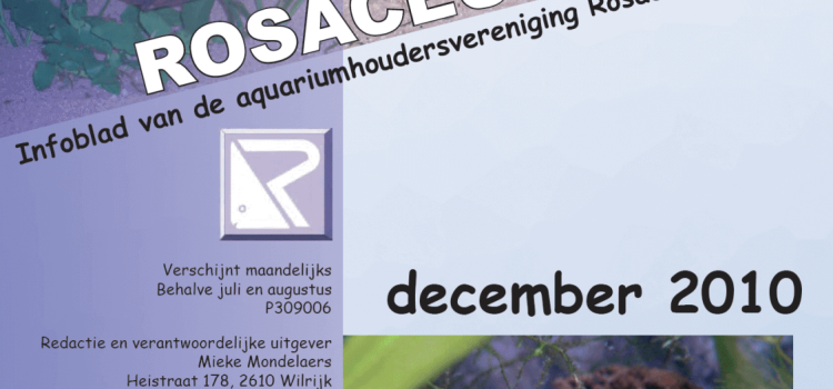 Rosaceus Info December 2010