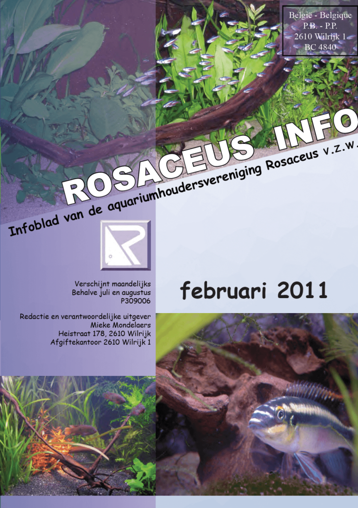 Rosaceus Info Februari 2011