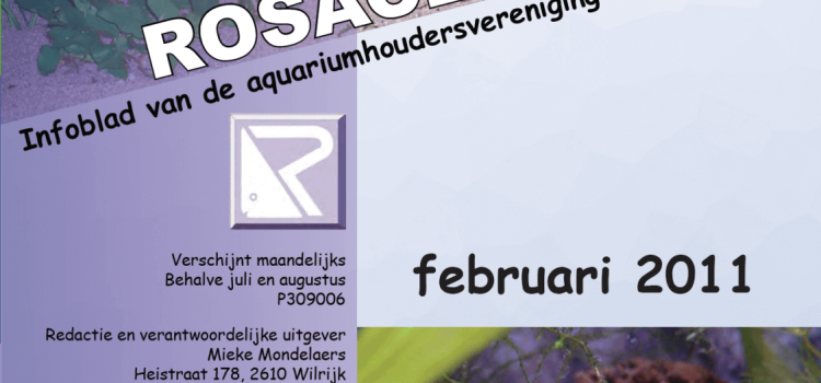 Rosaceus Info Februari 2011