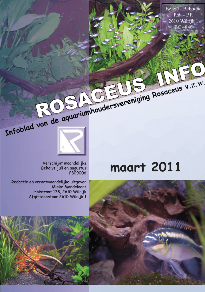 Rosaceus Info Maart 2011