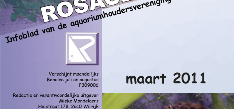 Rosaceus Info Maart 2011