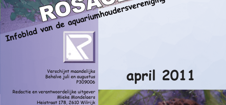 Rosaceus Info April 2011