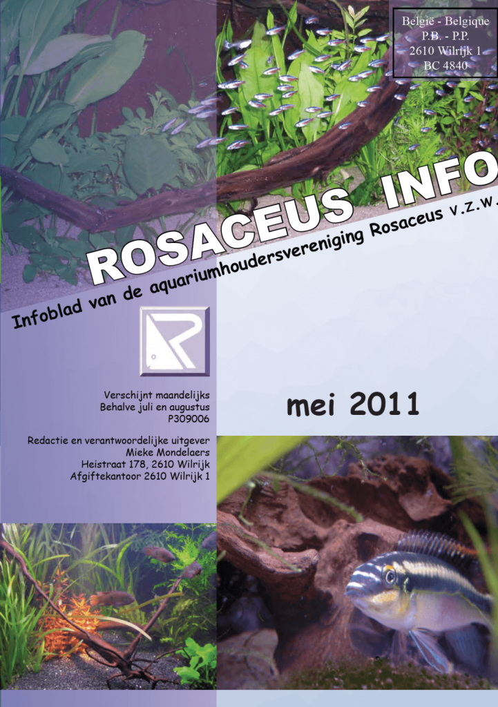 Rosaceus Info Mei 2011