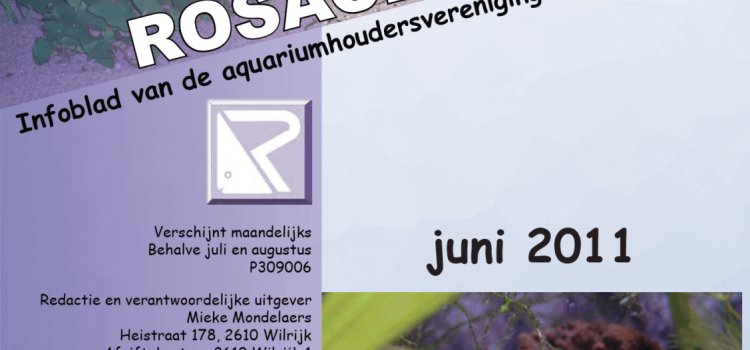 Rosaceus Info Juni 2011