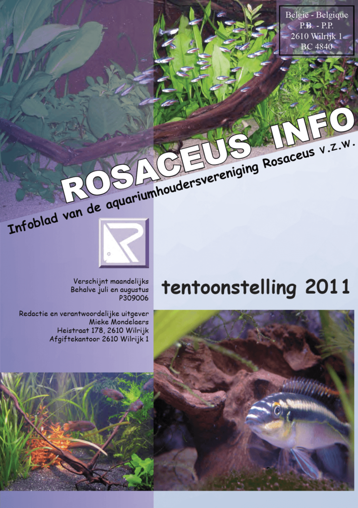 Rosaceus Info Augustus 2011