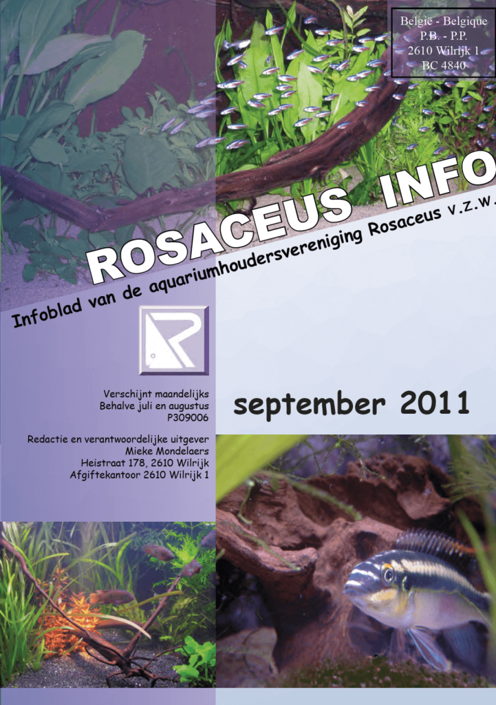 Rosaceus Info September 2011