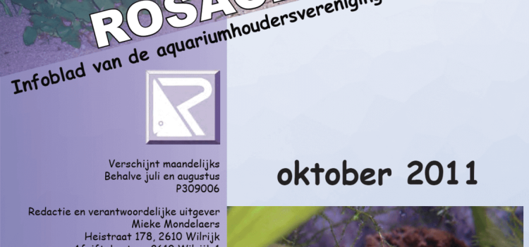 Rosaceus Info Oktober 2011