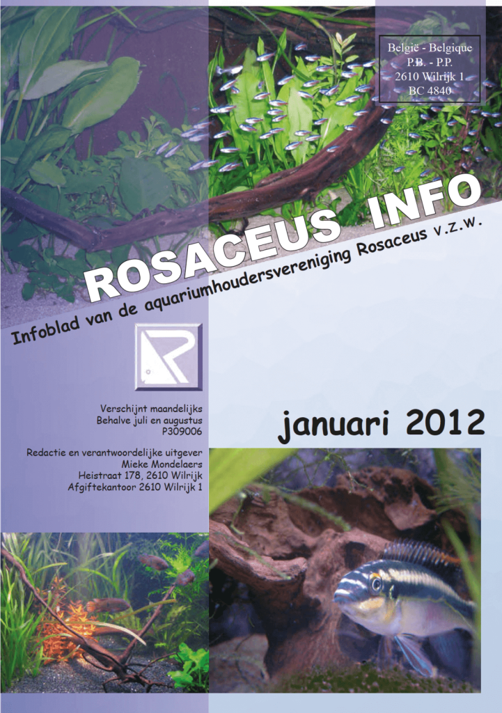 Rosaceus Info Januari 2012