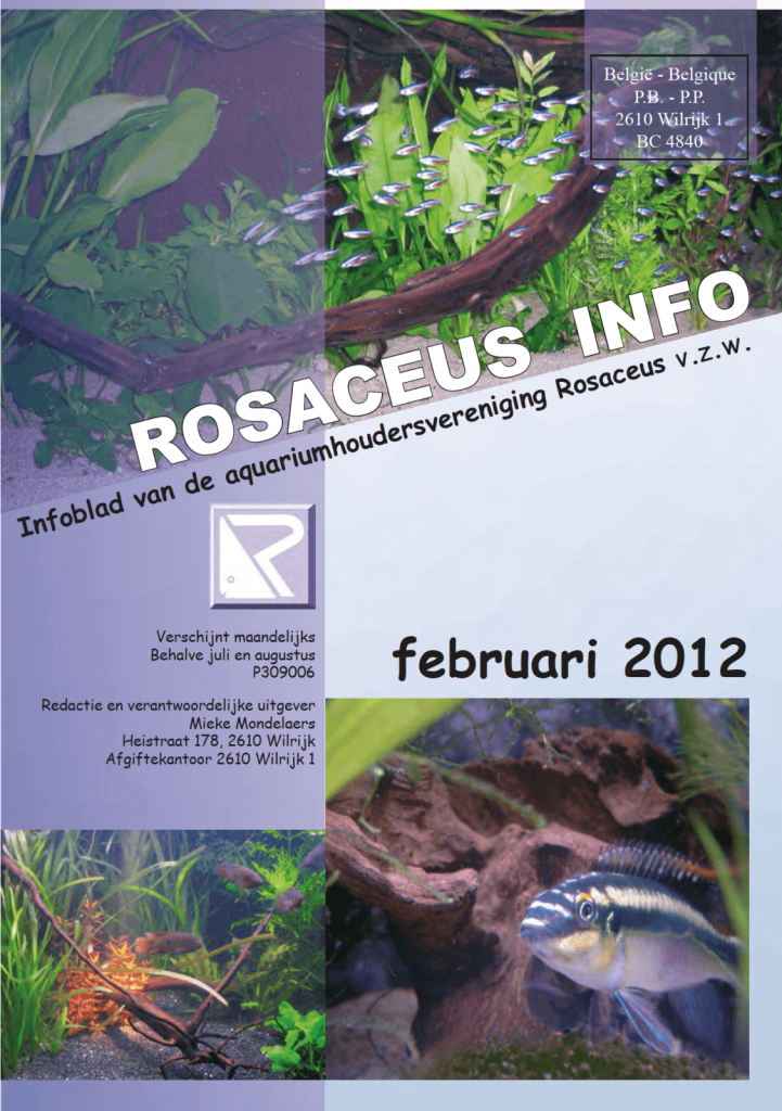 Rosaceus Info Februari 2012