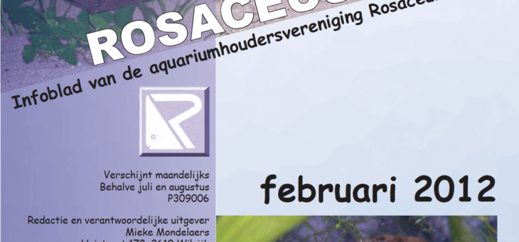 Rosaceus Info Februari 2012