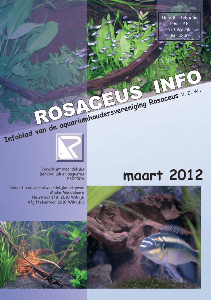 Rosaceus Info Maart 2012