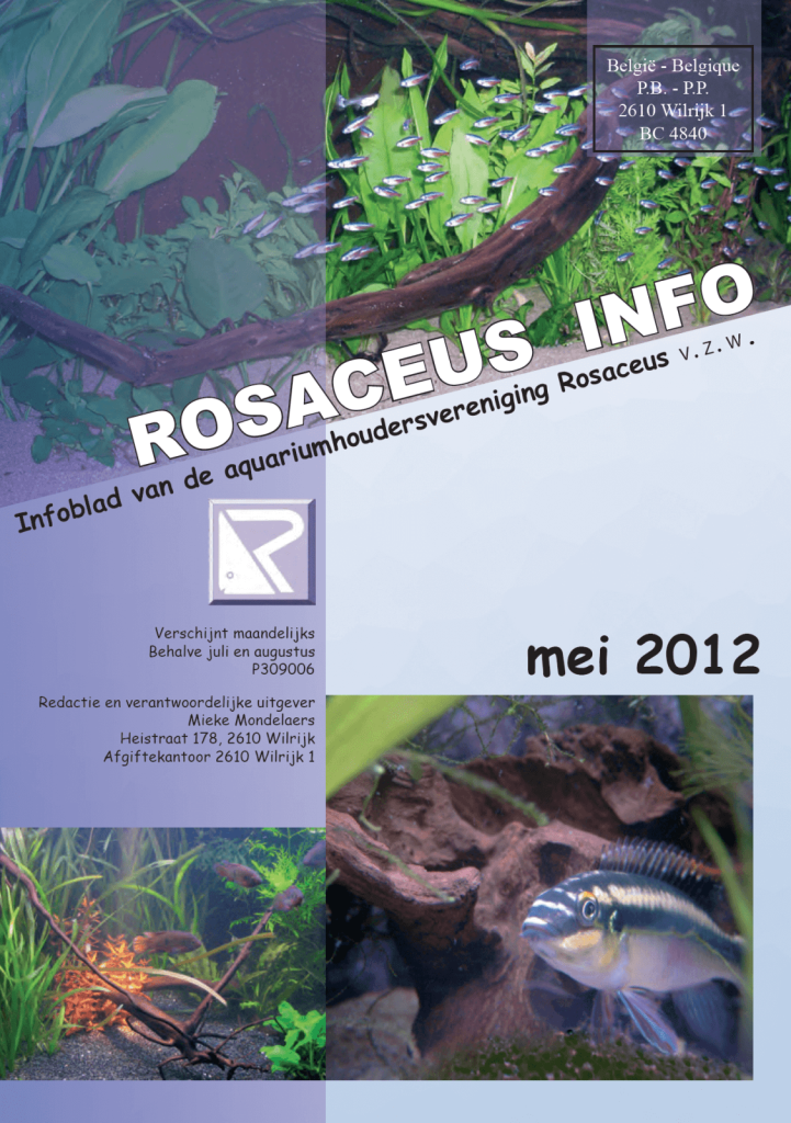 Rosaceus Info Mei 2012