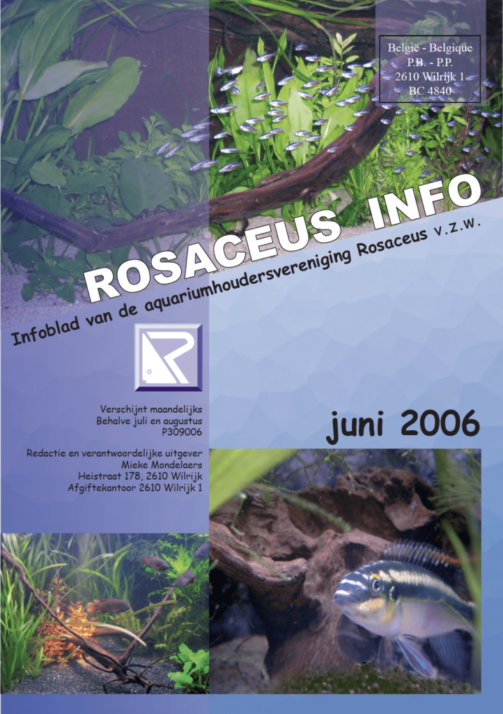 Rosaceus Info Juni 2006