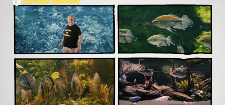 Wilfried: De Visserende Inspiratie Achter de Aquariums